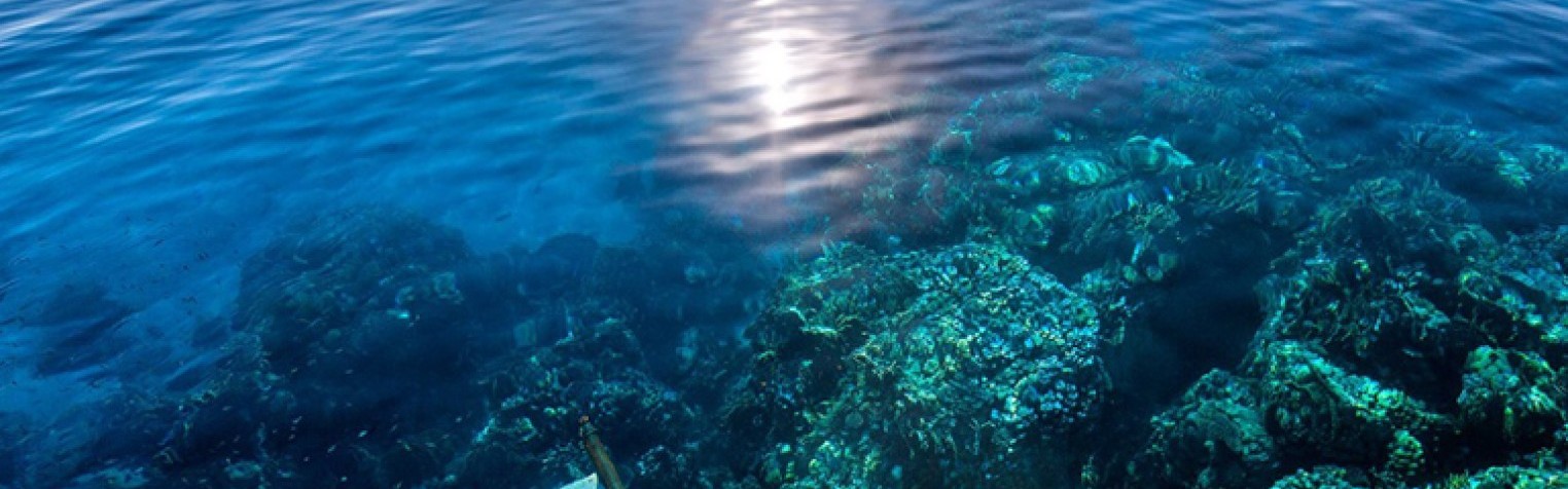 Diving Center In Marsa alam
