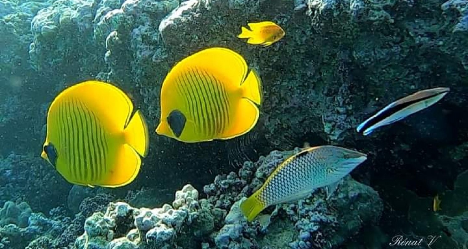 WhatsApp Image 2022-07-19 at 10.50.54 AM