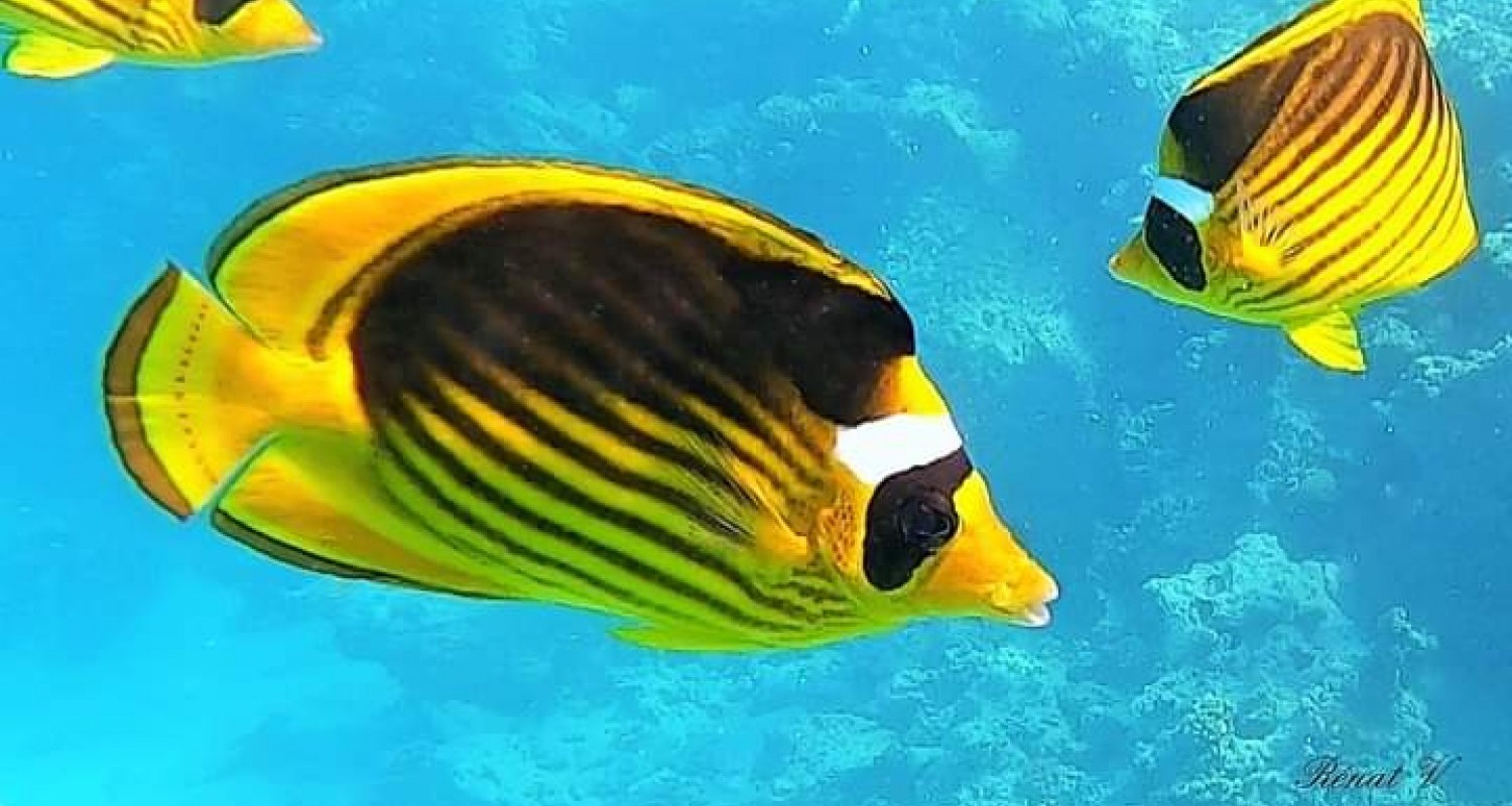 WhatsApp Image 2022-07-19 at 10.50.55 AM