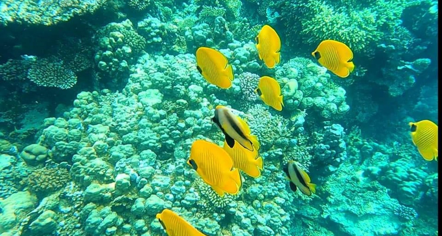 WhatsApp Image 2022-07-19 at 10.50.56 AM