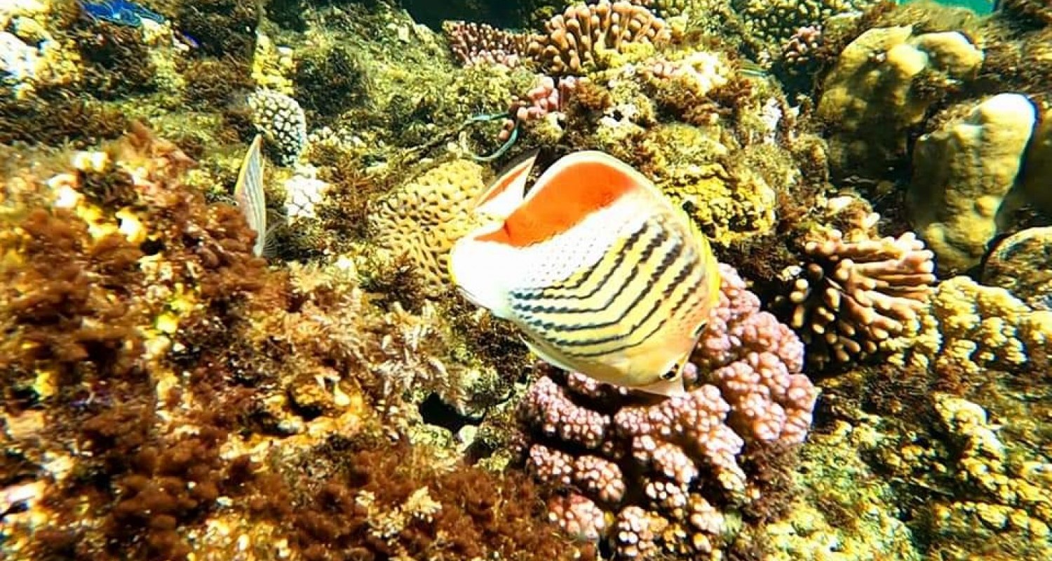 WhatsApp Image 2022-07-19 at 10.50.57 AM