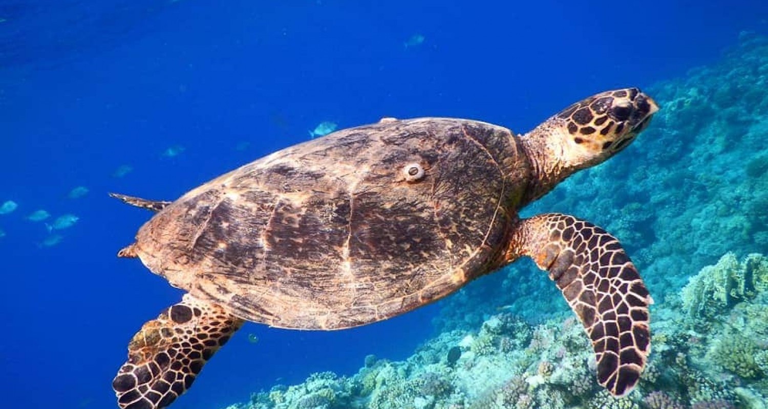 WhatsApp Image 2022-07-19 at 10.50.58 AM