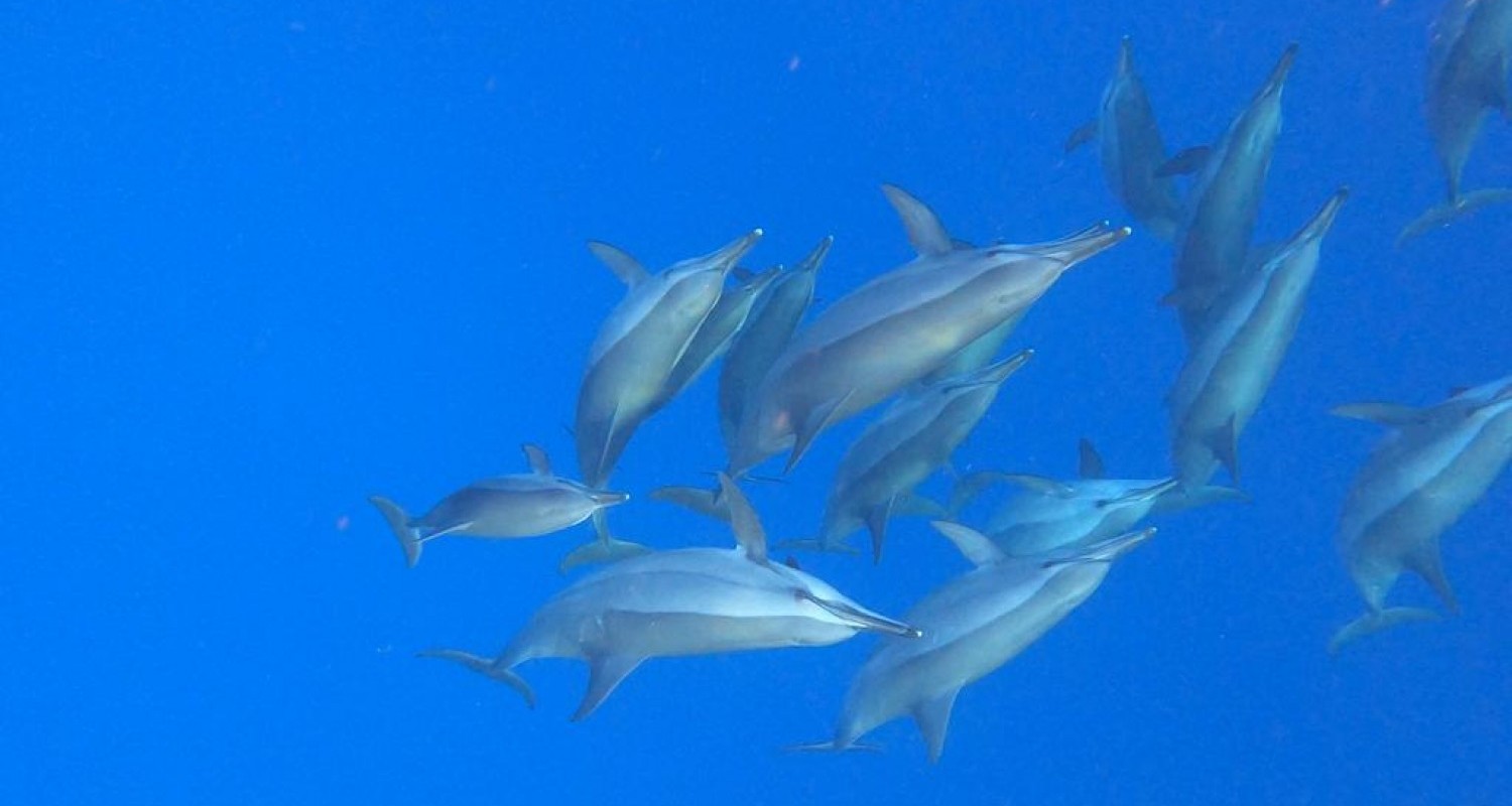 WhatsApp Image 2022-07-19 at 10.50.59 AM