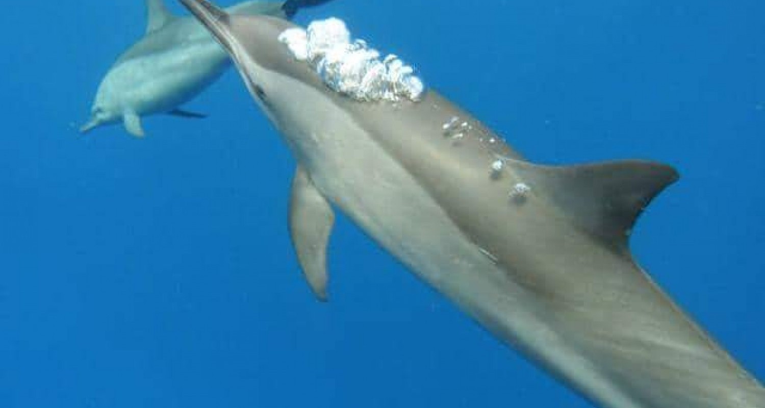 WhatsApp Image 2022-07-19 at 10.51.00 AM