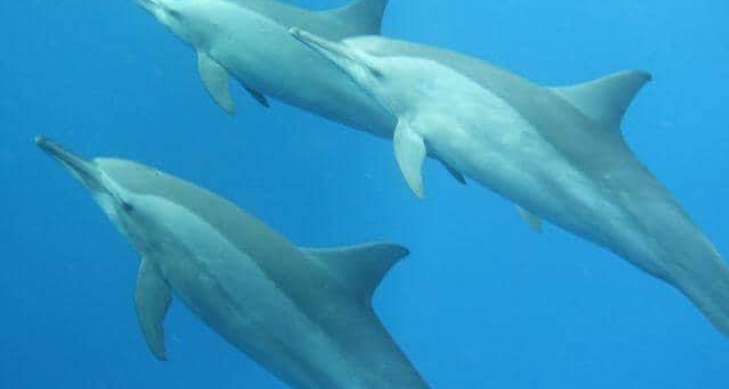 whatsapp-image-2022-07-19-at-105100-am-2